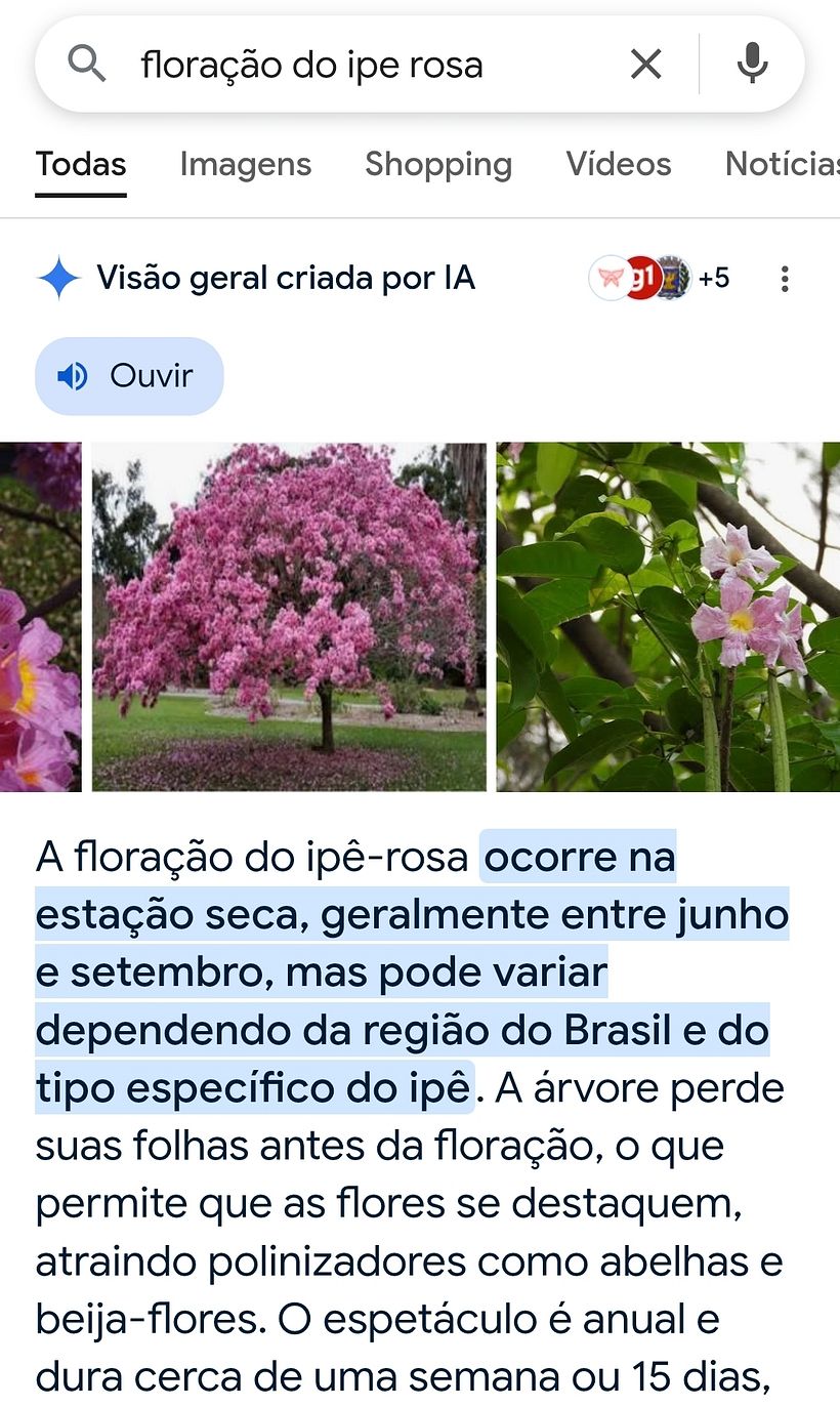 Der Tanz der Jahreszeiten  1