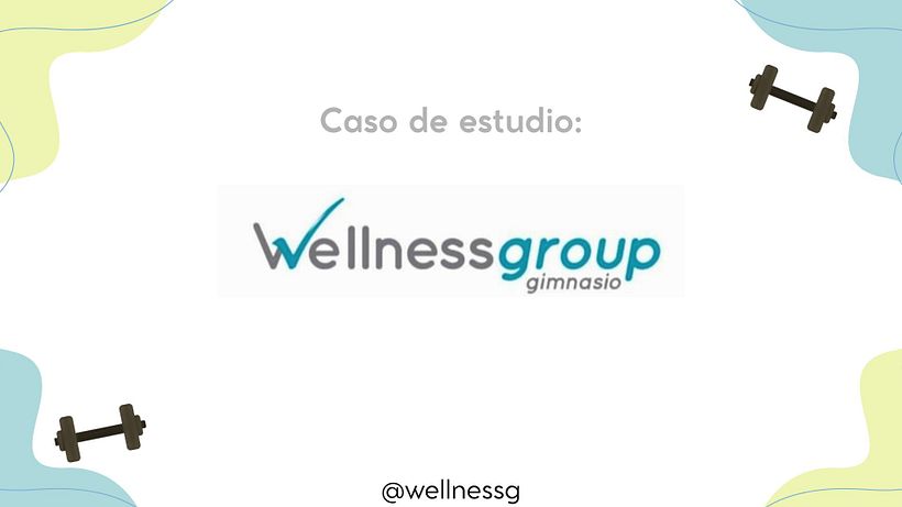 Wellness Group gimnasio 1