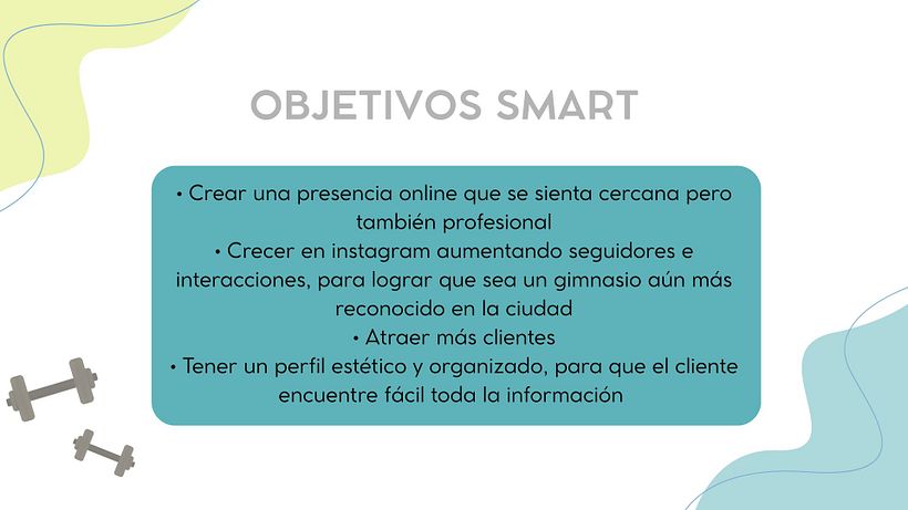 Wellness Group gimnasio 2