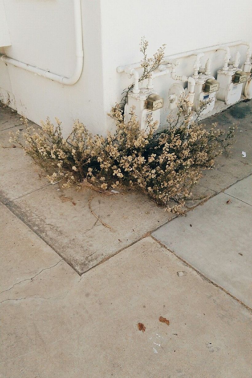 El Homabre de la Luna 1