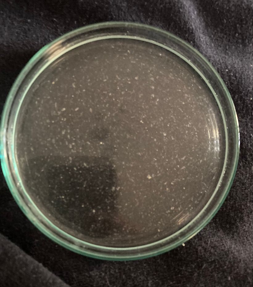 Bioglitter 1