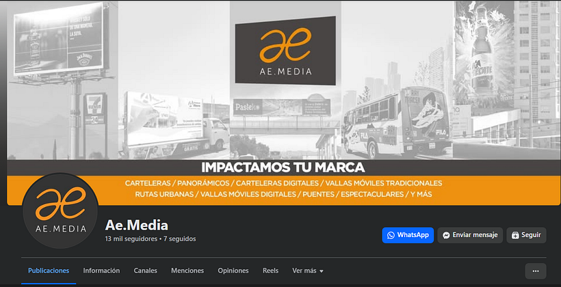 Plan de marketing digital 1