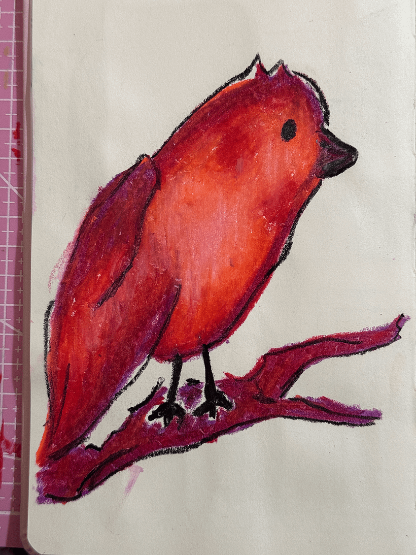 Caderno de Liberdade 1