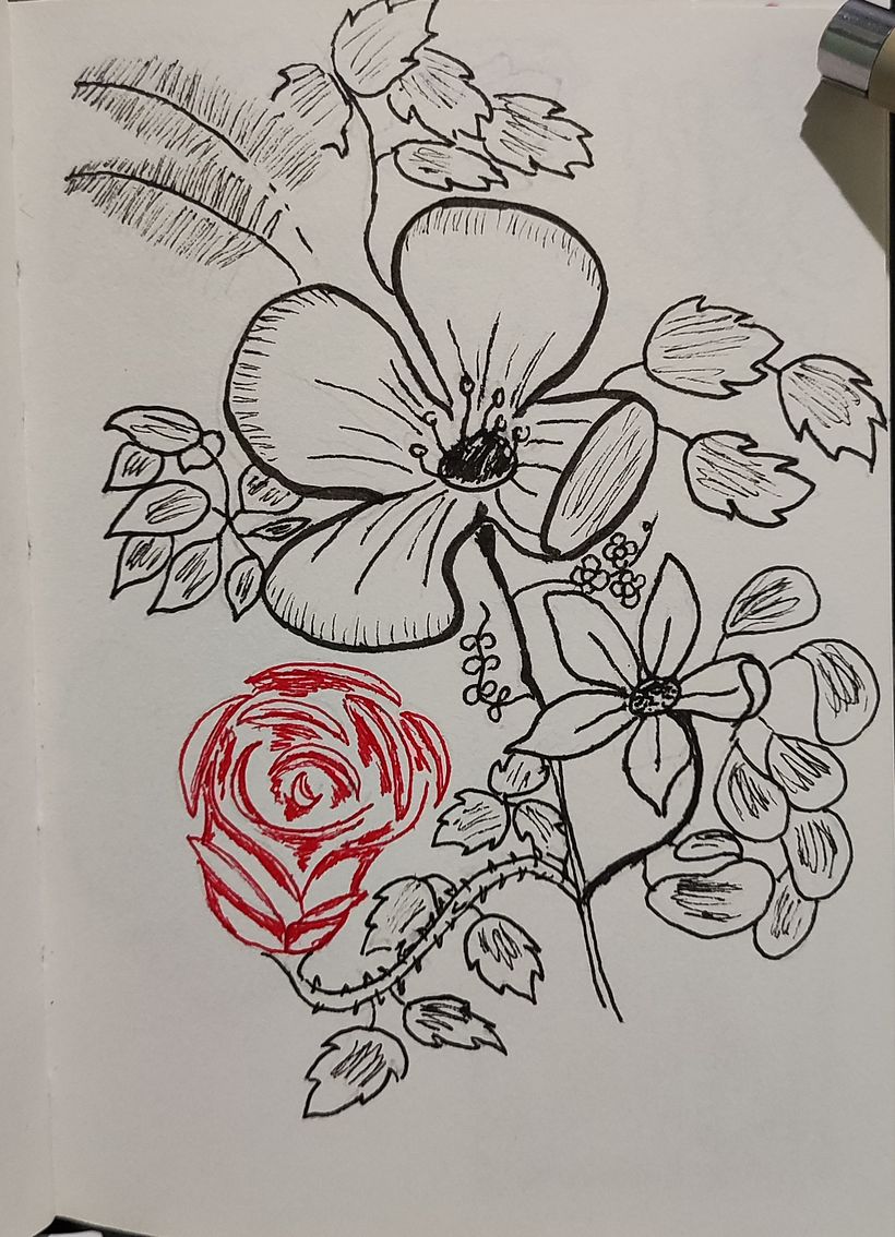 [Course Project] Daily Sketching for Creative Inspiration 13