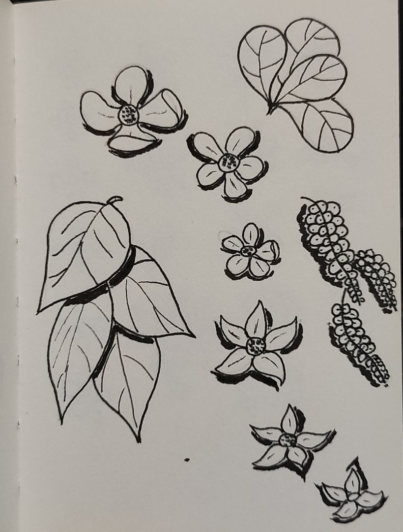 [Course Project] Daily Sketching for Creative Inspiration 27