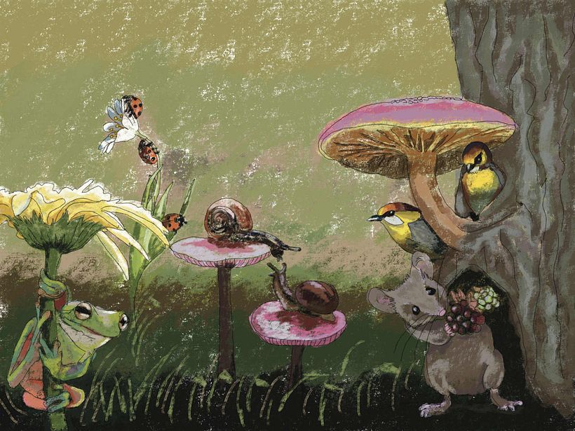 Quais são as respostas socias para doentes auto imunes em Portugal?  1