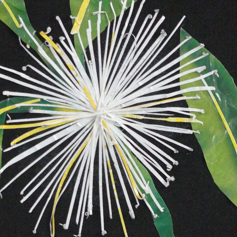 Late Bloomer: Botanical Plastic Mosaik 1