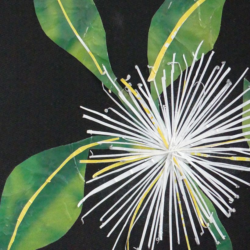 Late Bloomer: Botanical Plastic Mosaik 2