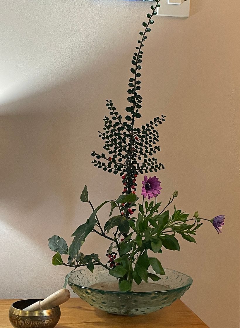 Changing Seasons in an English Cottage Garden 1