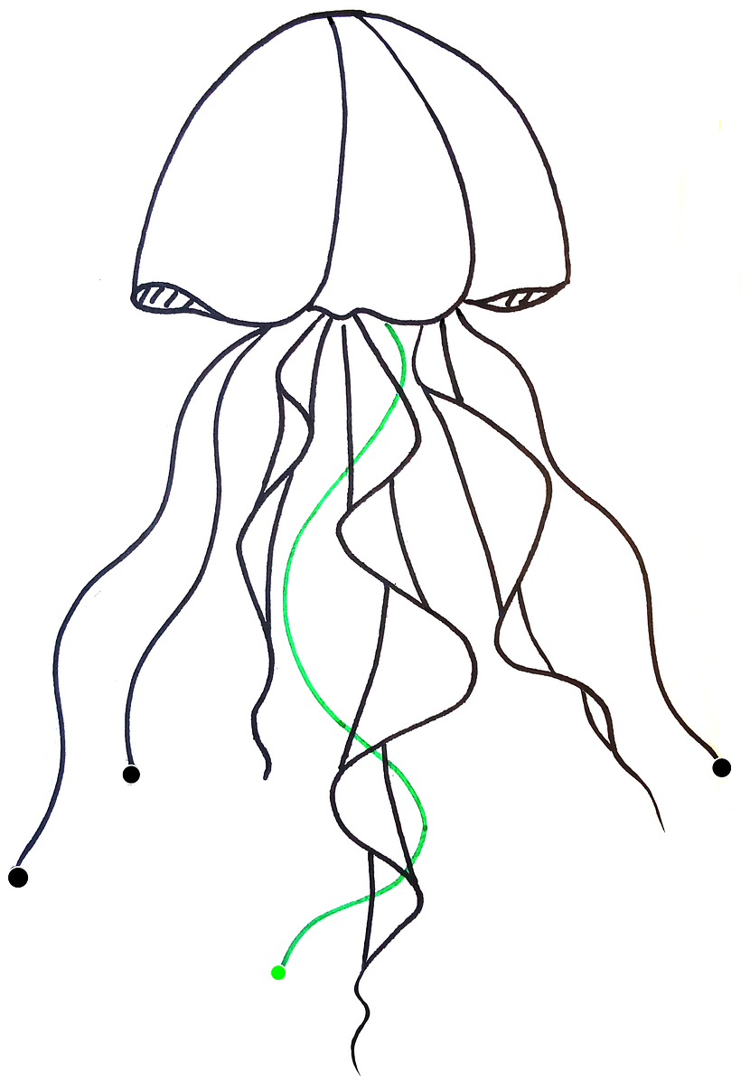 Jellyfish in Luneville 1