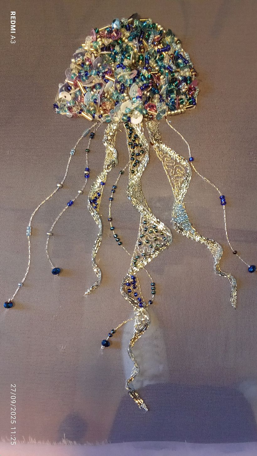 Jellyfish in Luneville 1