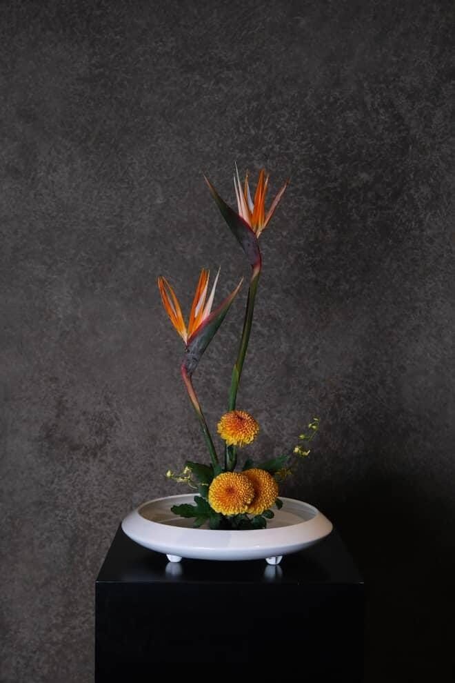 flower 1