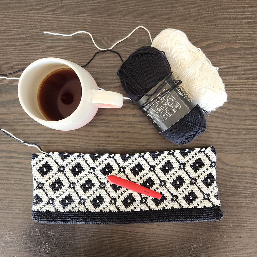 Cartera Tejida a Crochet 1