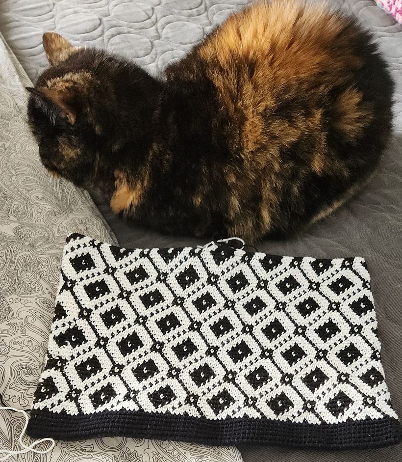 Cartera Tejida a Crochet 2