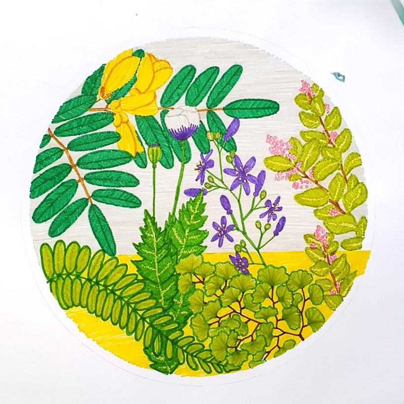 Botanical embroidery in the central region of Chile 2