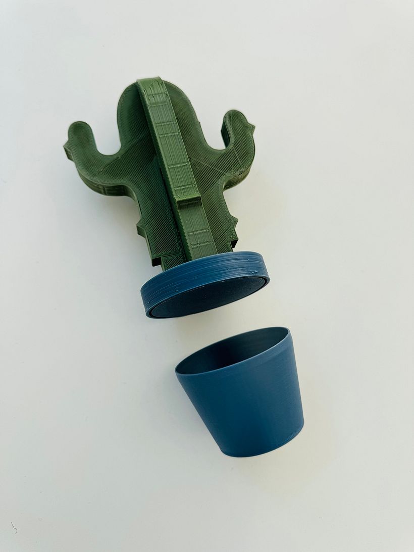 Le Cactus 1