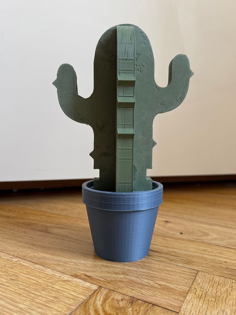Le Cactus 2
