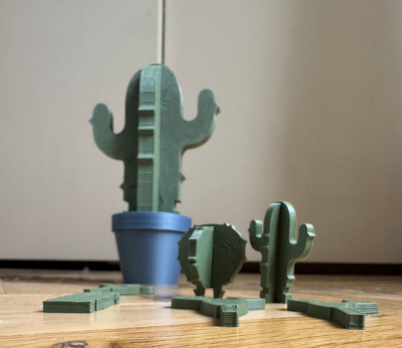 Le Cactus 3