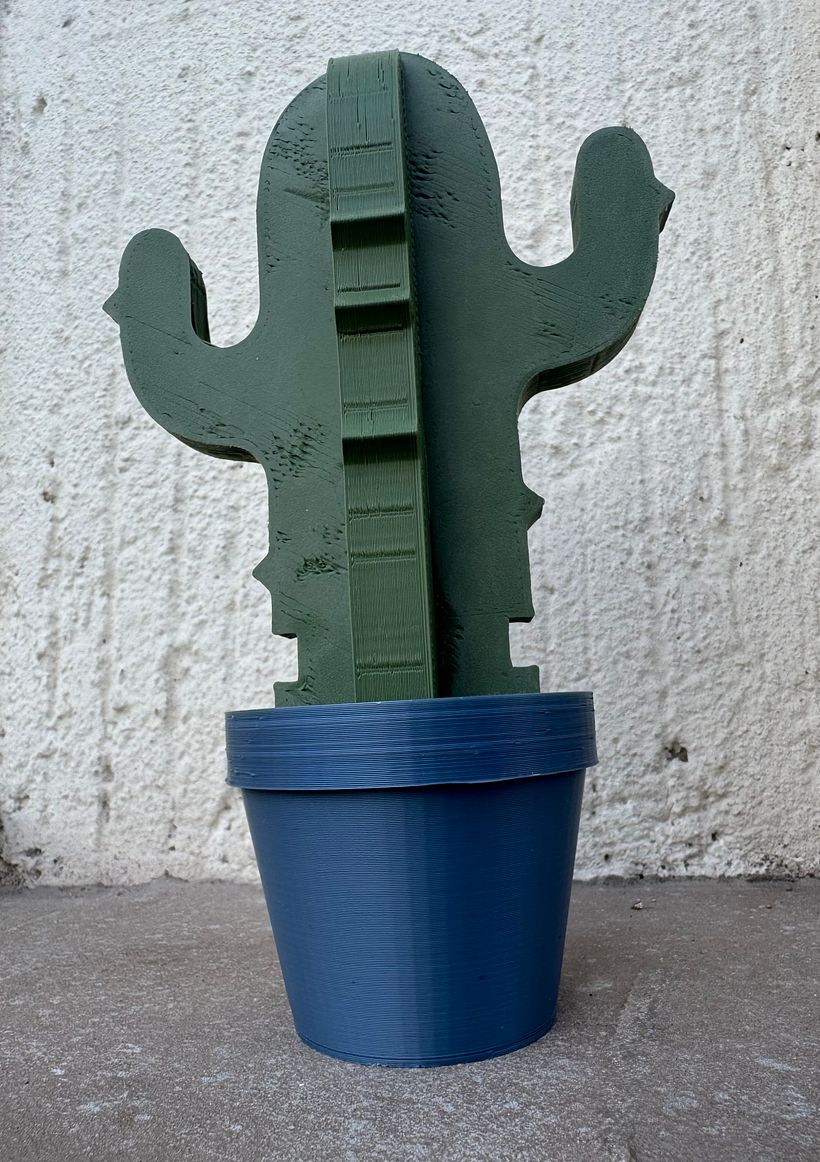 Le Cactus 4
