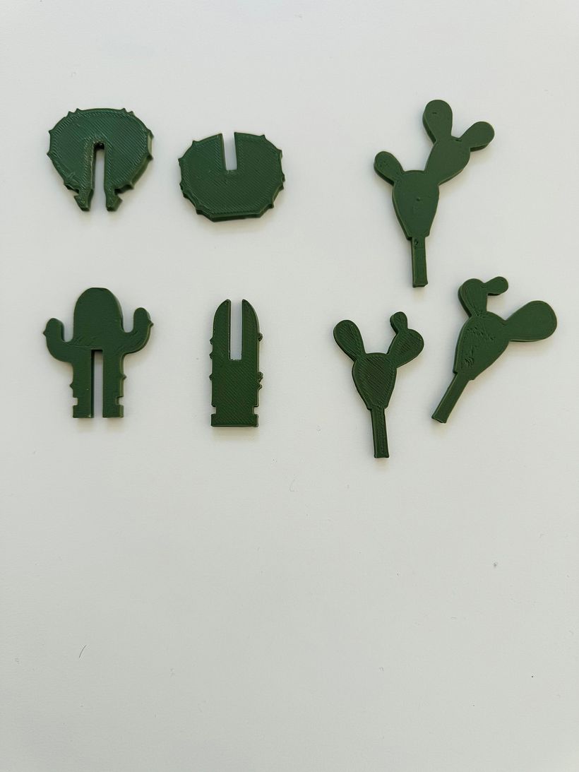 Le Cactus 2