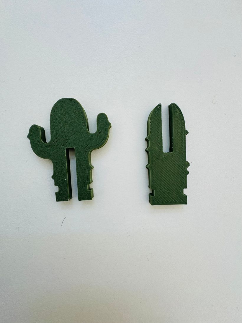 Le Cactus 3