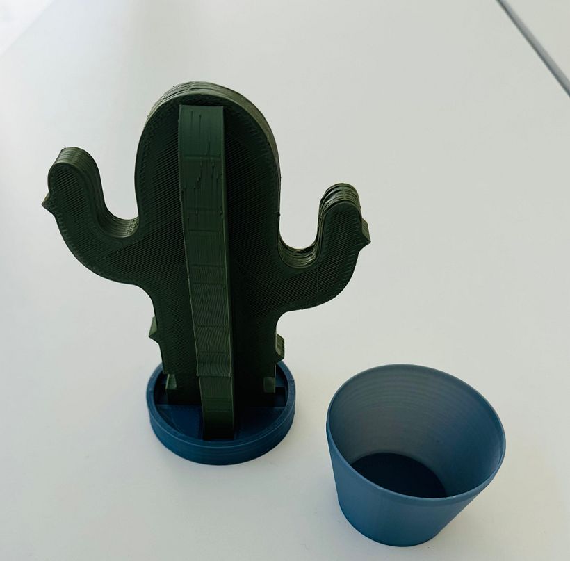 Le Cactus 5