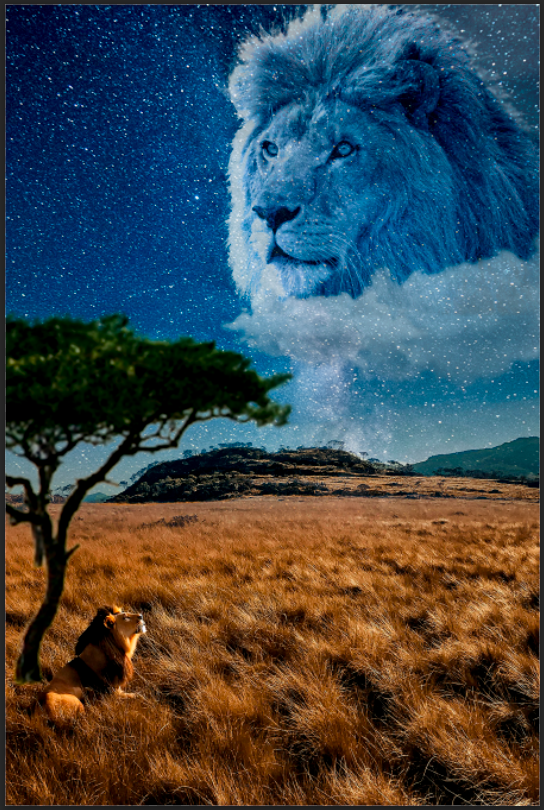 Mufasa y Simba 1