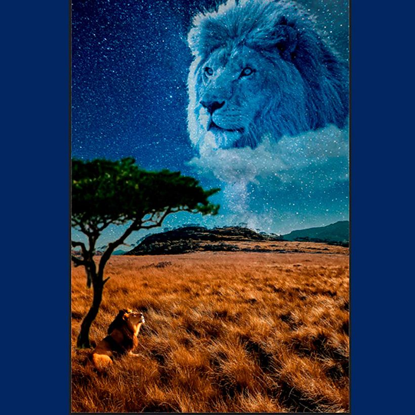 Mufasa y Simba 1