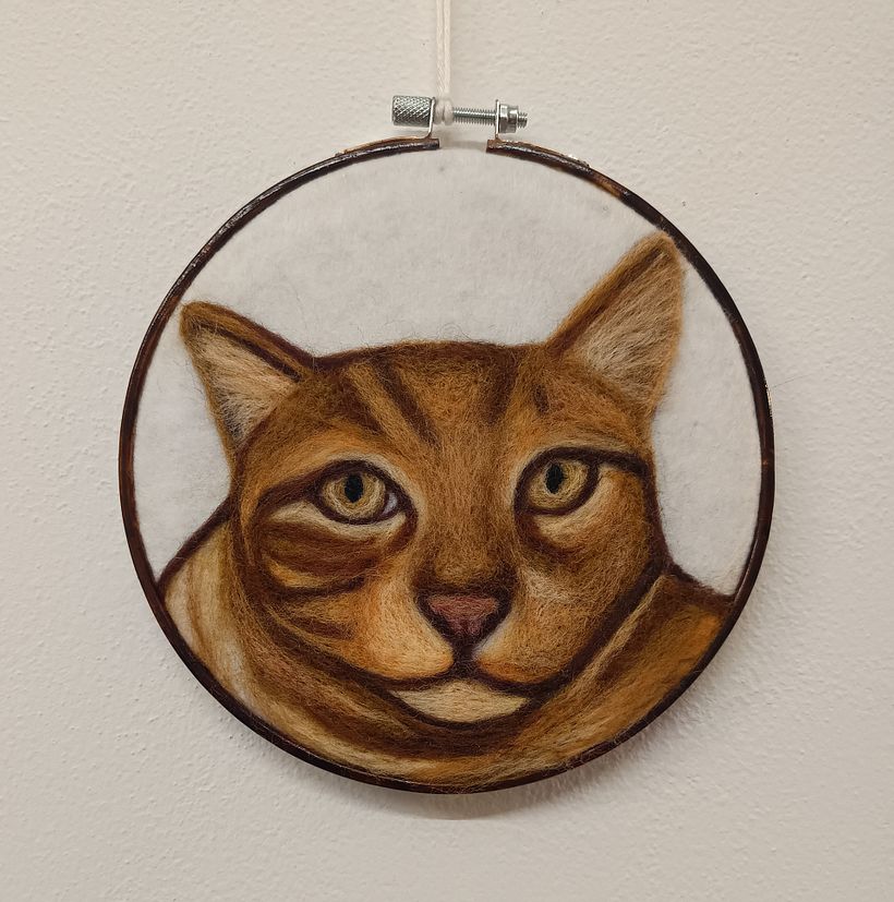 Il mio gattone 1
