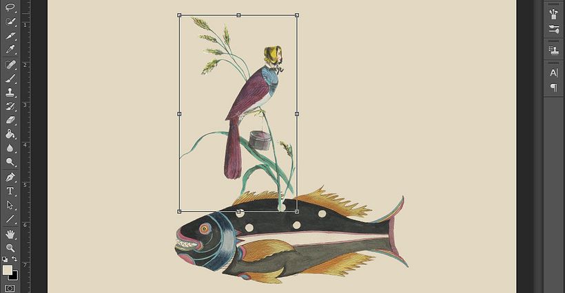 Natura morta con flora e fauna 4