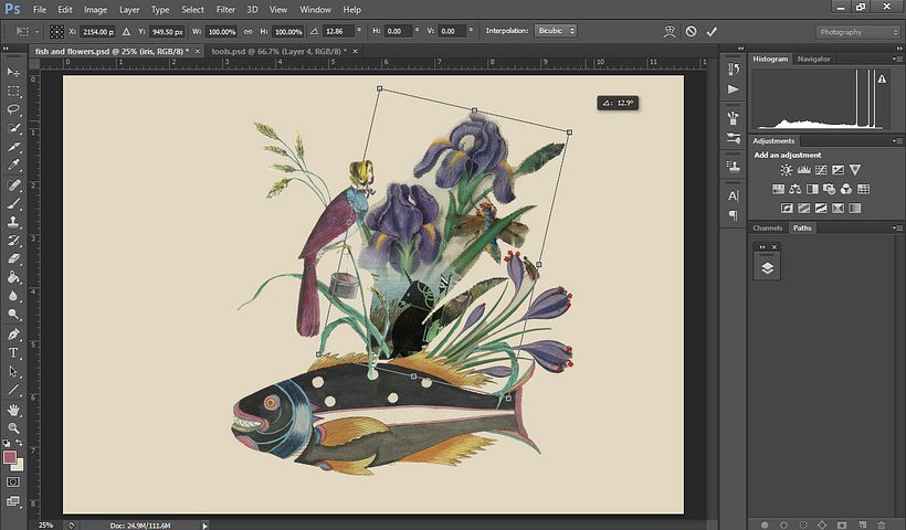 Natura morta con flora e fauna 5