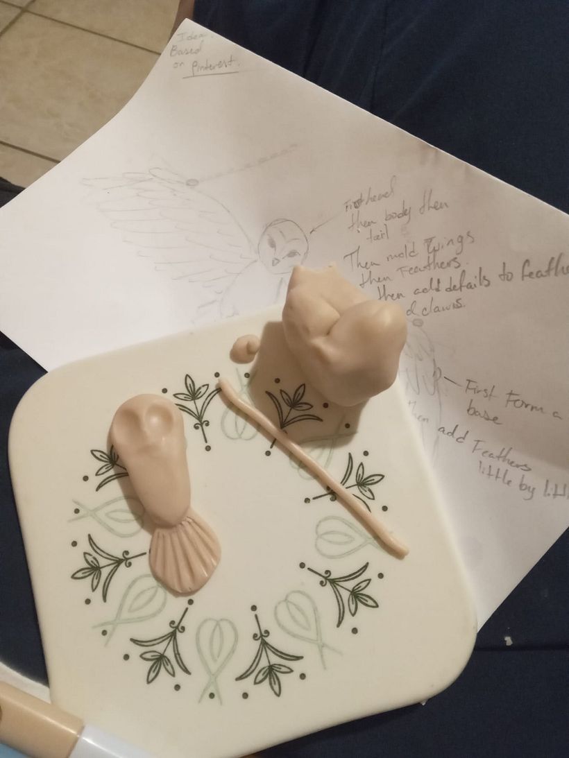 Buo con alas abiertas  1