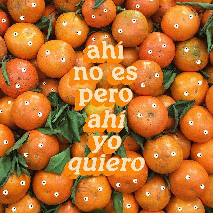 FRASES PERRONAS 5