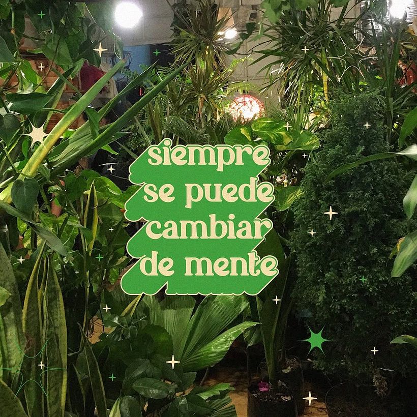 FRASES PERRONAS 13