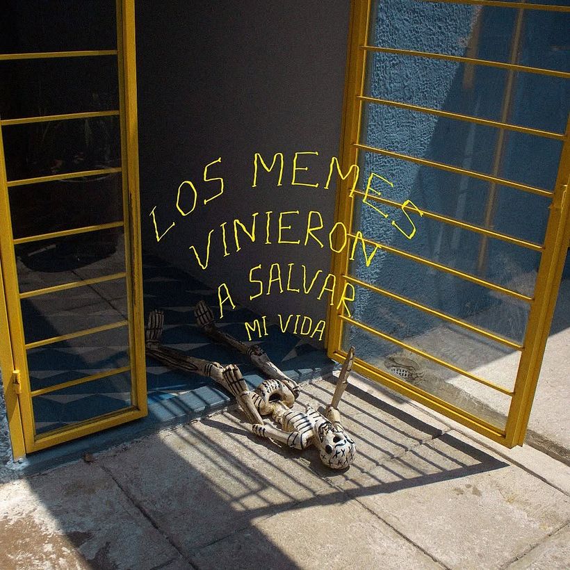 FRASES PERRONAS 16