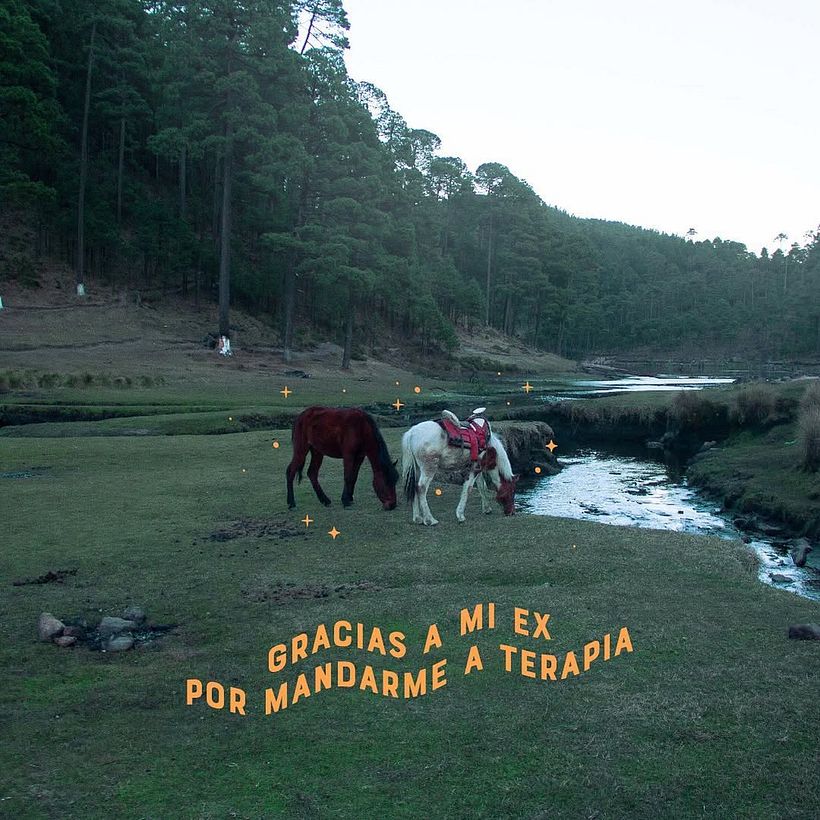 FRASES PERRONAS 19