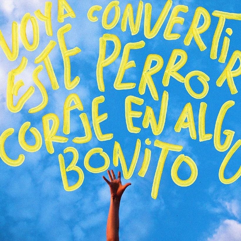 FRASES PERRONAS 24