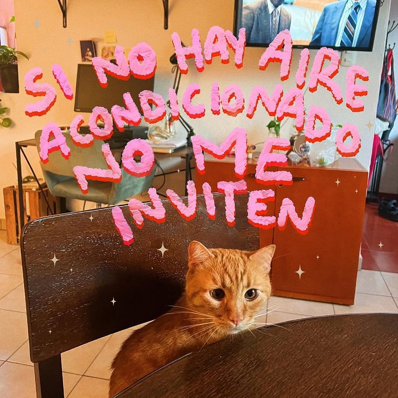 FRASES PERRONAS 36