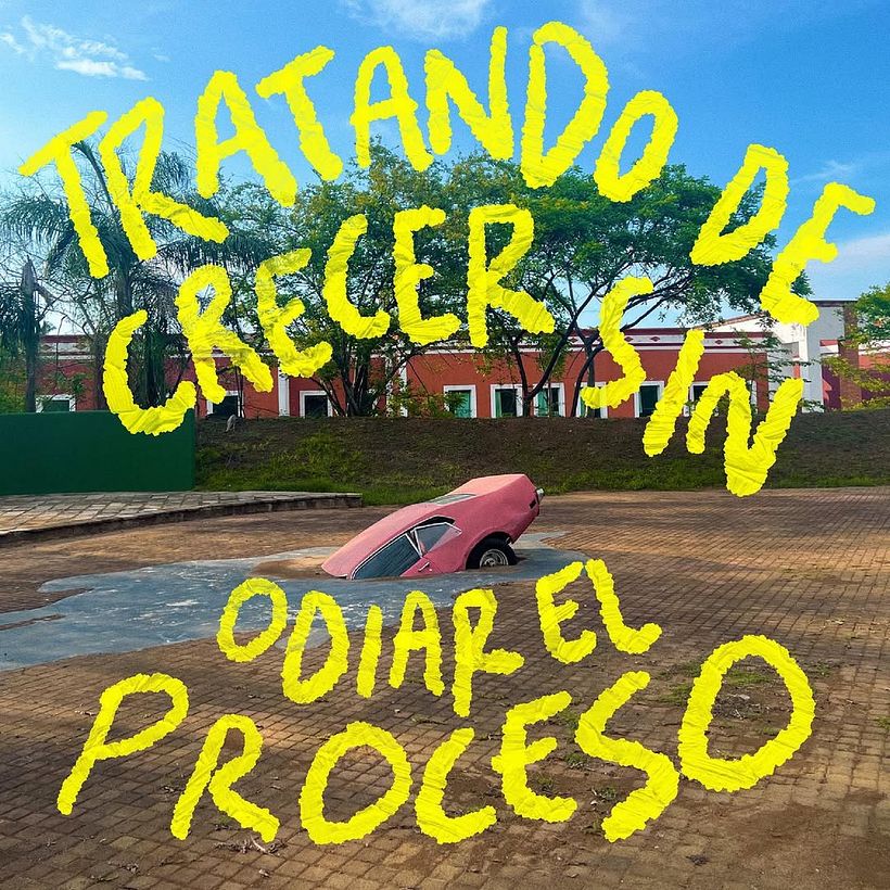 FRASES PERRONAS 34