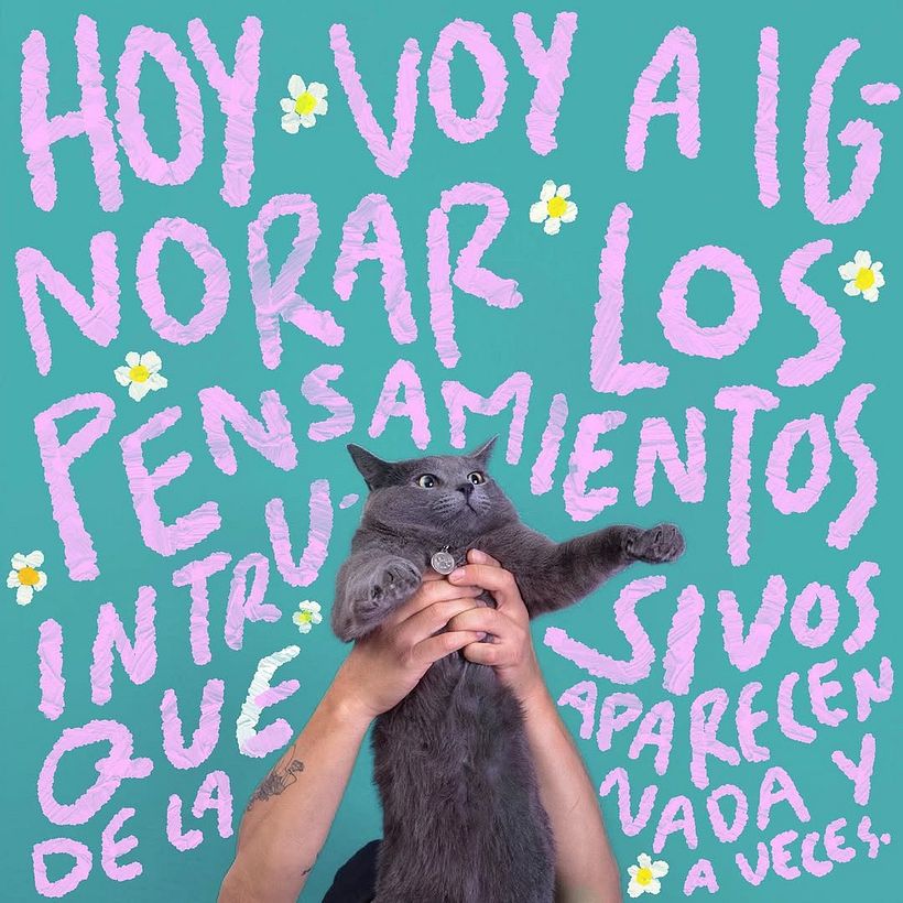 FRASES PERRONAS 33
