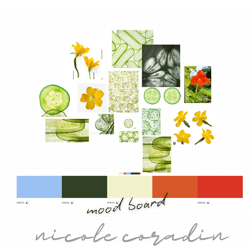 Surface Pattern Design Beginner Cucumber Print 1