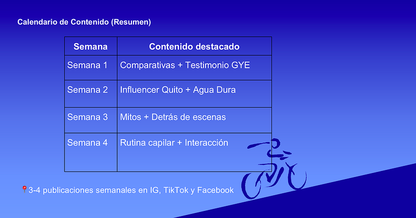 Comparativo de Marca y Estrategia Digital: Head & Shoulders en Ecuador 1