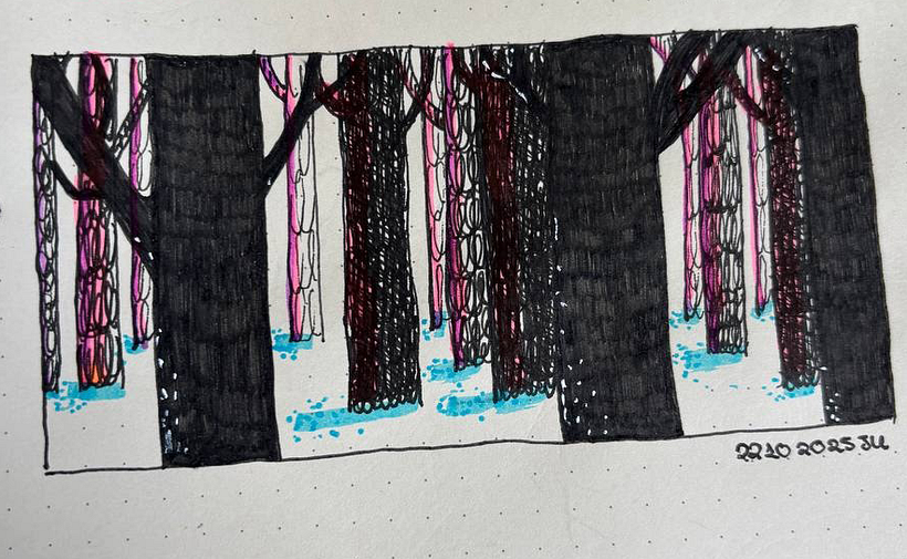 My drawing journey 1