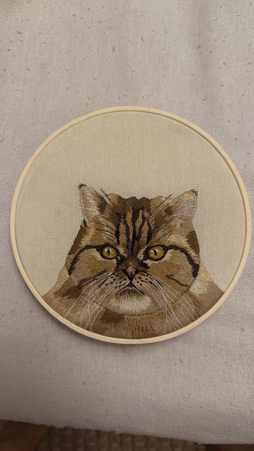 Gata persa 1