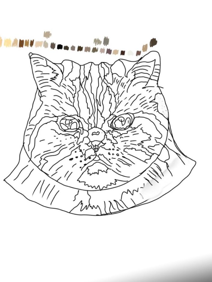 Gata persa 2