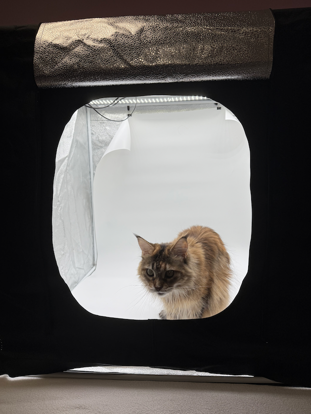 Creating Graphic Design Mockups 1