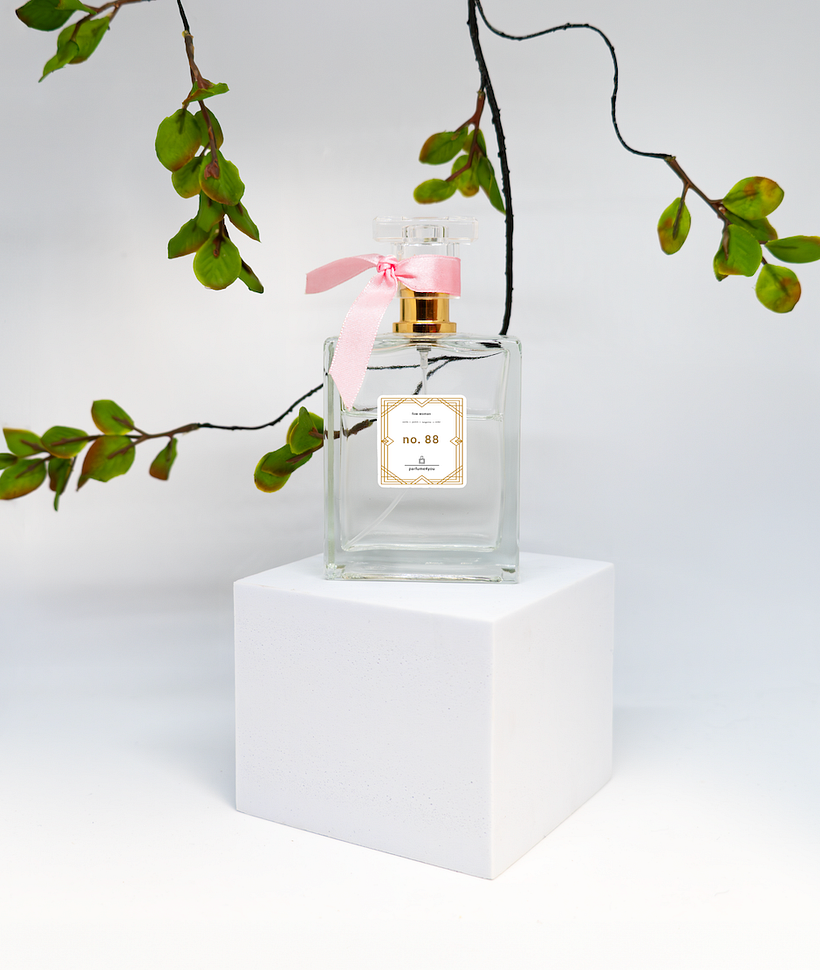 Creating Graphic Design Mockups 3