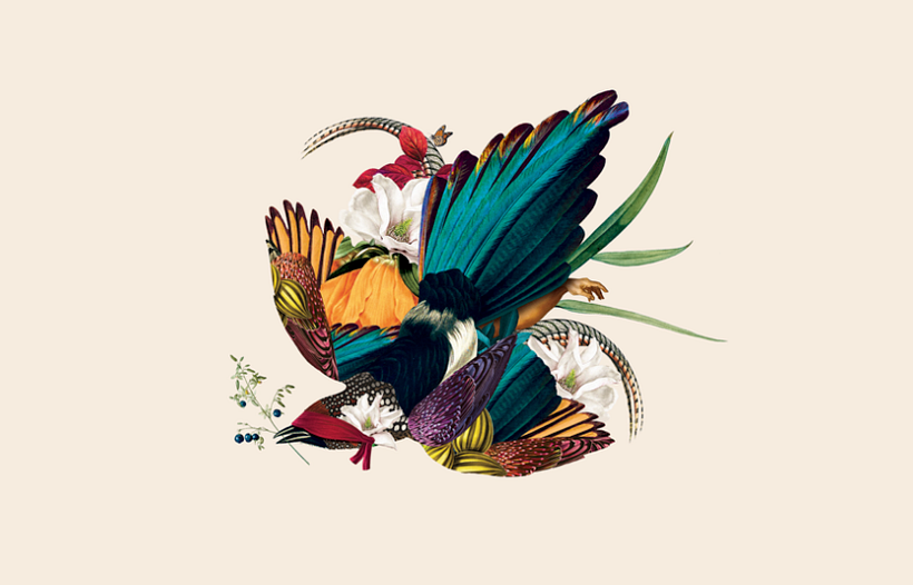 Experience creativity live: November's Domestika Lives are not to be missed! 9