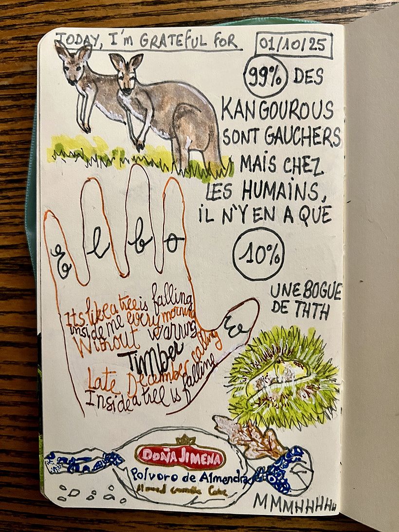 Diario de gratitud: octubre de 2025 1