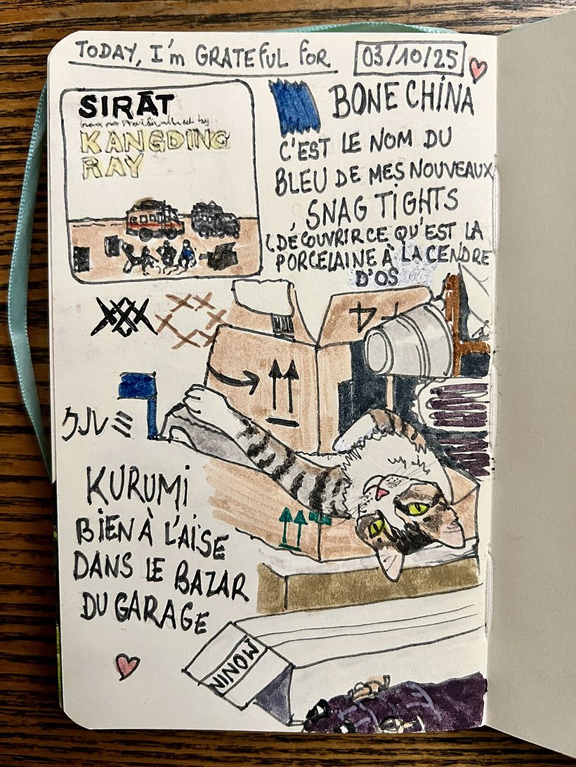 Diario de gratitud: octubre de 2025 1